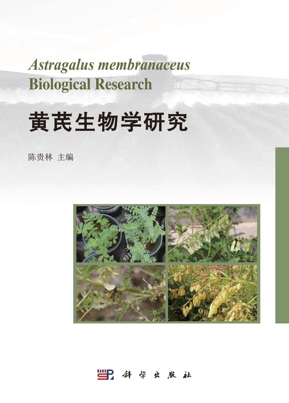 生物学_黄芪生物学研究.pdf_第1页