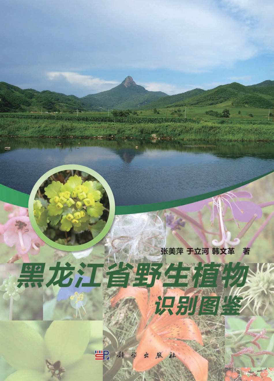 生物学_黑龙江省植物识别图鉴.pdf_第1页