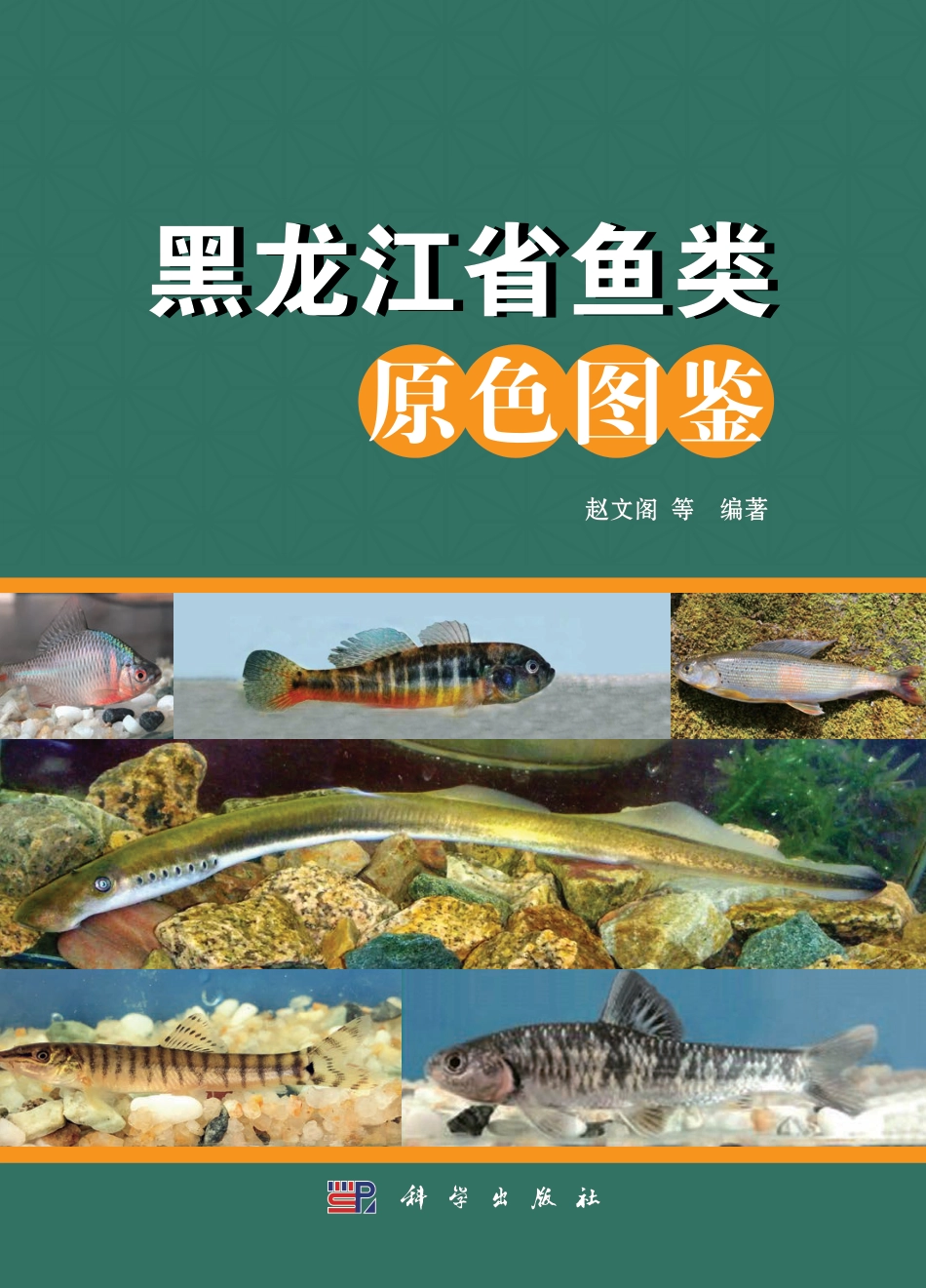 生物学_黑龙江省鱼类原色图鉴.pdf_第1页