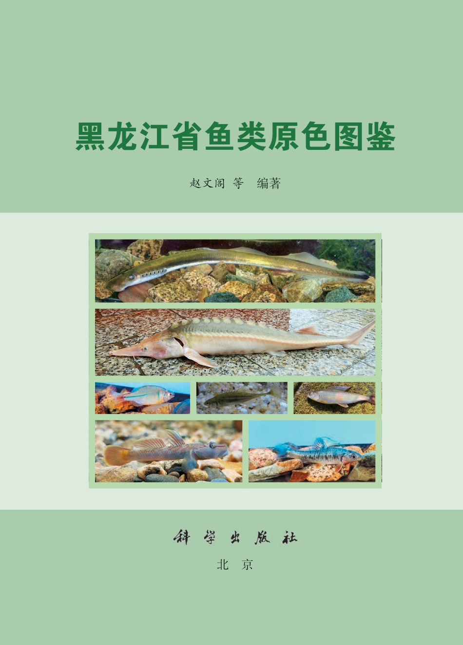 生物学_黑龙江省鱼类原色图鉴.pdf_第2页