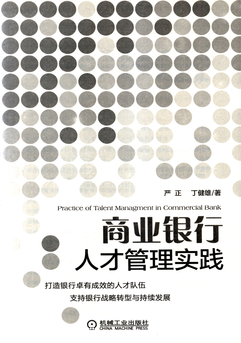 管理_商业银行人才管理实践.pdf_第3页