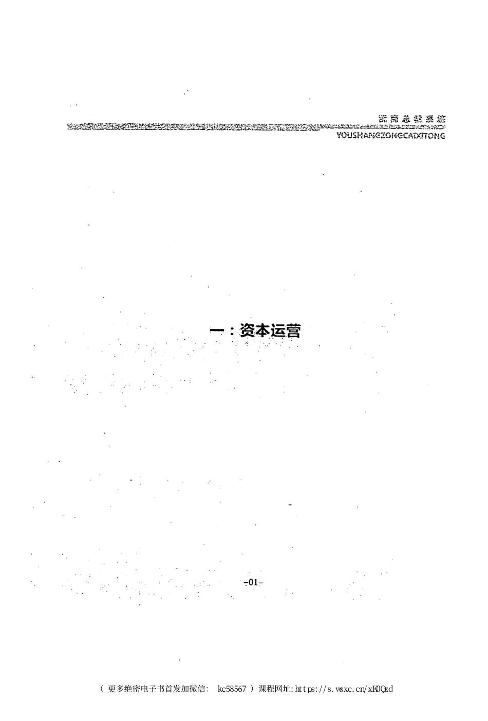 第560部《犹商资本》犹商总裁系统五本系列_.pdf_第3页