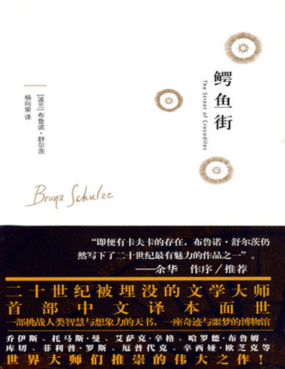 鳄鱼街 - 布鲁诺·舒尔茨.pdf_第1页