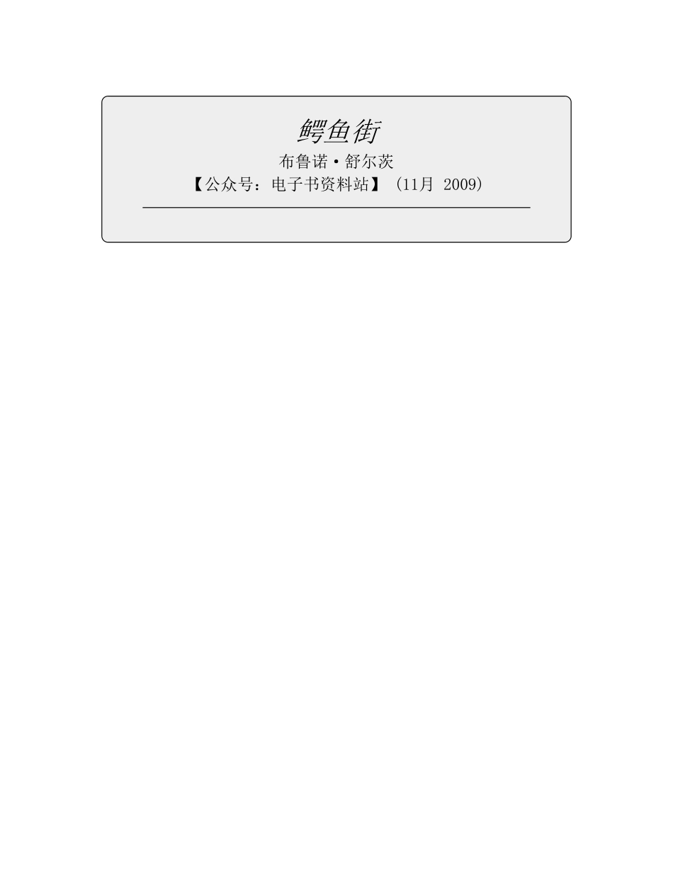 鳄鱼街 - 布鲁诺·舒尔茨.pdf_第2页