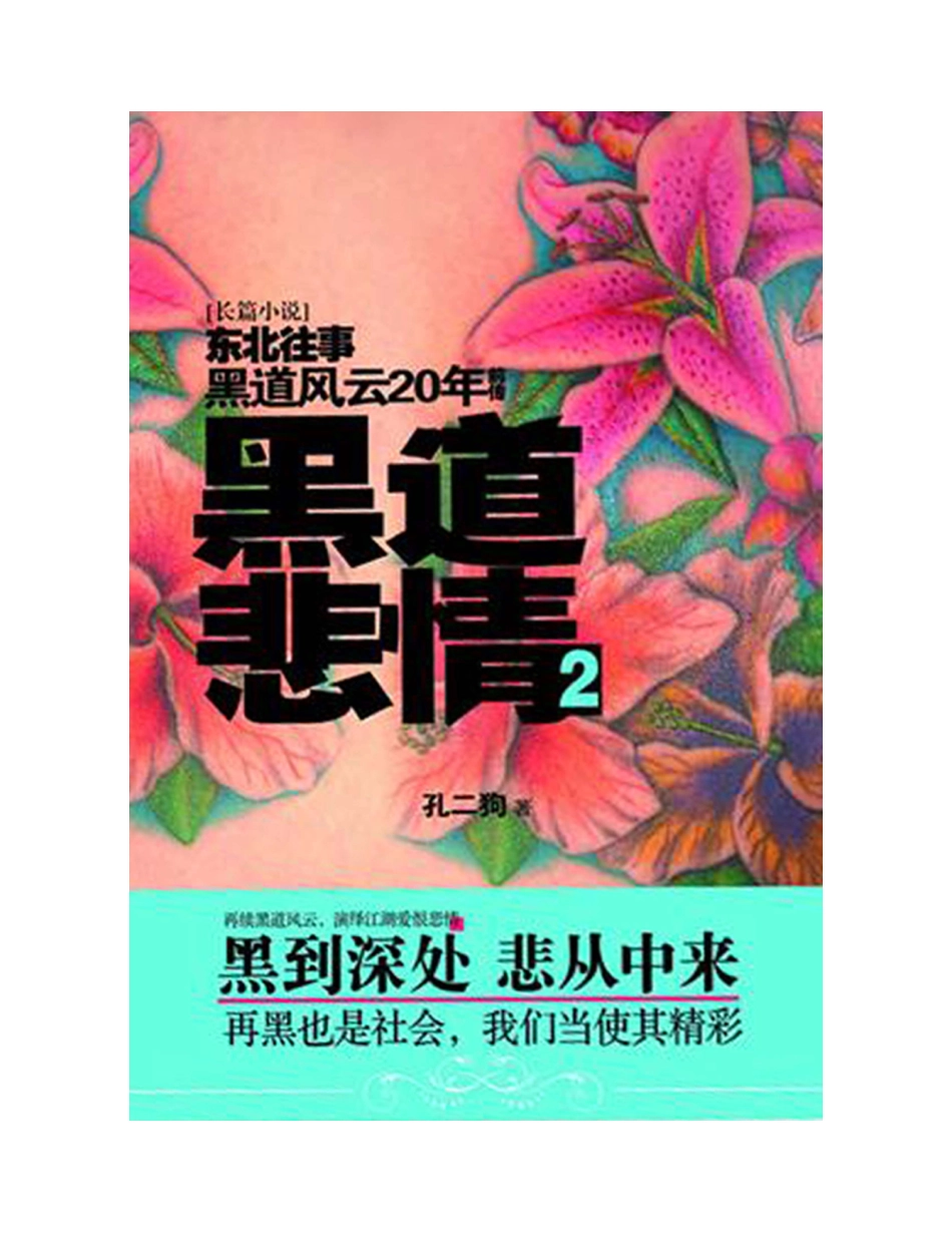 黑道悲情2 - 孔二狗.pdf_第3页